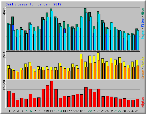 Daily usage for January 2019