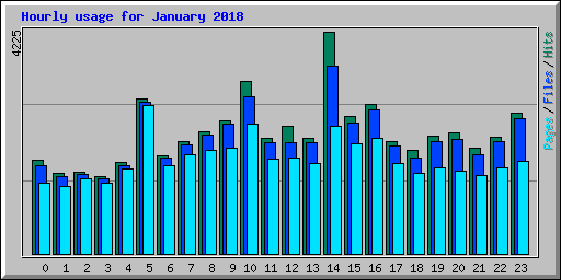 Hourly usage for January 2018