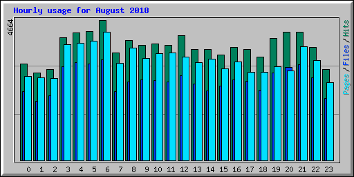 Hourly usage for August 2018