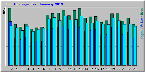 Hourly usage for January 2019