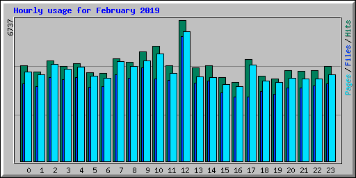 Hourly usage for February 2019