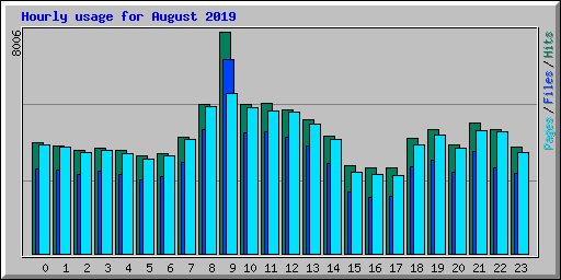 Hourly usage for August 2019