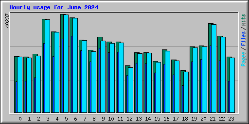 Hourly usage for June 2024