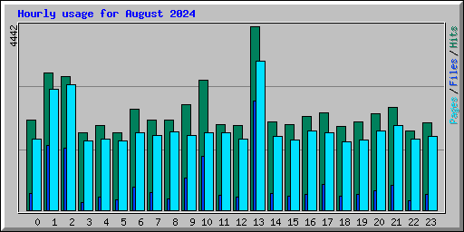 Hourly usage for August 2024